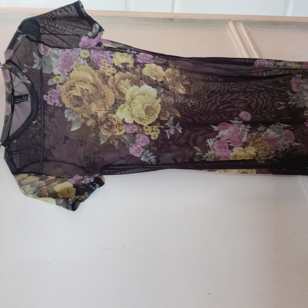 A shear S mini dress worn 1 time
